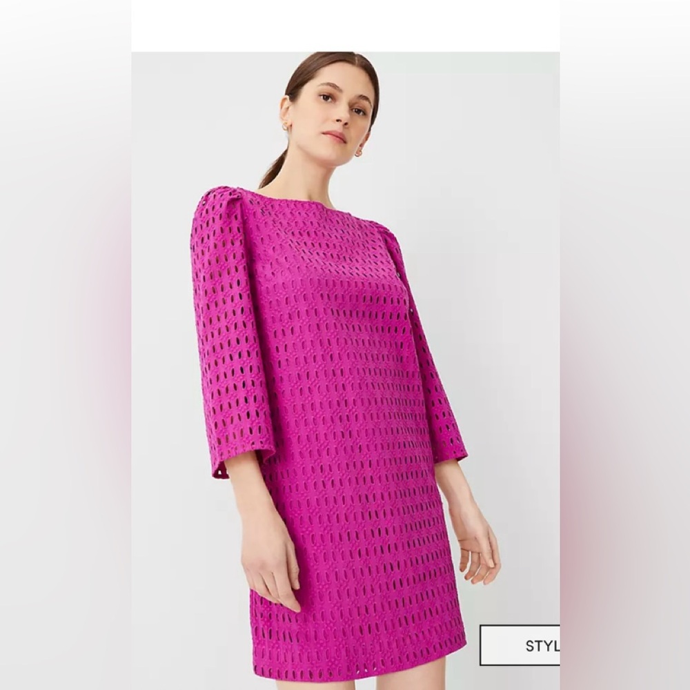 Ann Taylor Vibrant Magenta Long Sleeve Dress
